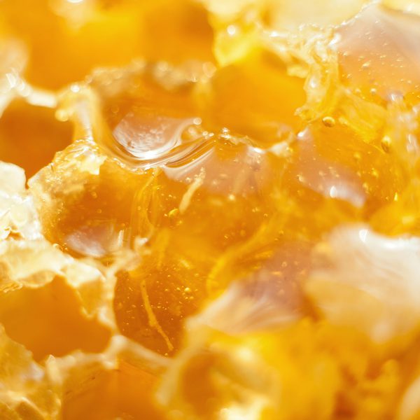 Mật ong rừng – Chai 1 lít